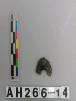 藏品(打製凹底石鏃)的圖片